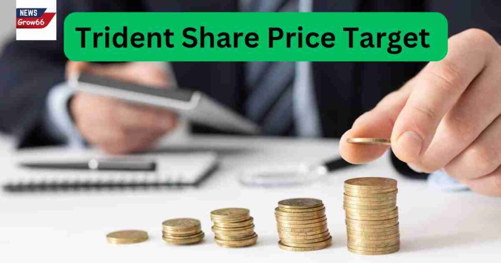 Trident share price target